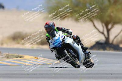 media/May-12-2024-SoCal Trackdays (Sun) [[ad755dc1f9]]/10-Turn 4 Tree of Life (1120am)/